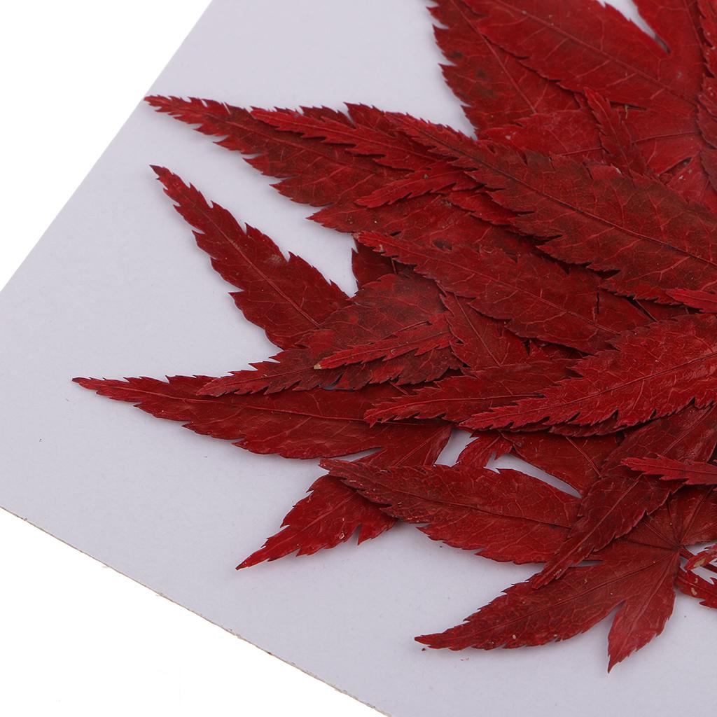Resin Craft Ideas - Dried Natural Flowers Crafts Resin Embellishment