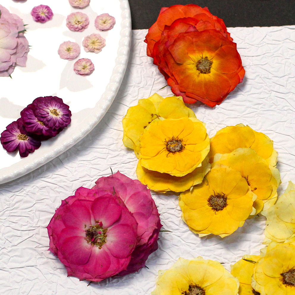 60 Yellow Mixed-size Pressed R - огляд і ціна Resin Craft Ideas