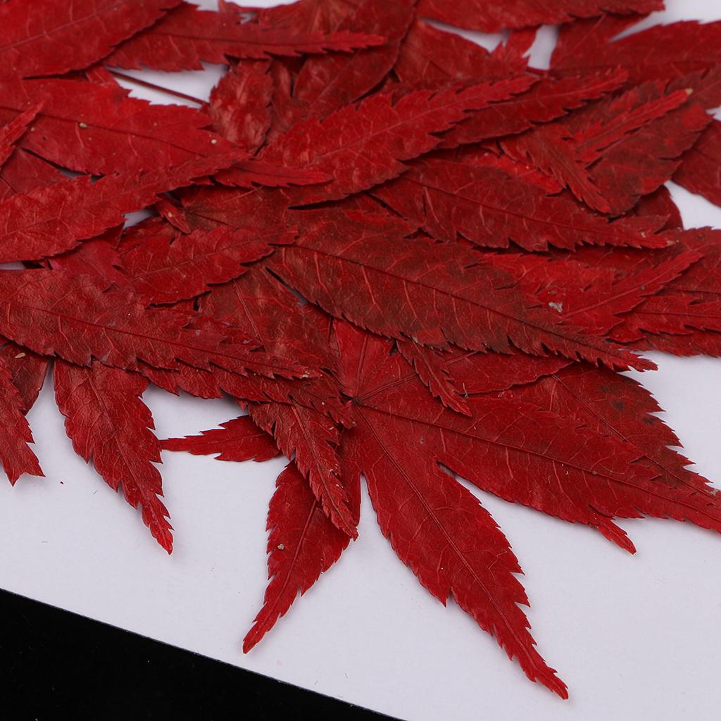 Dried Natural Flowers Crafts R - огляд і ціна Resin Craft Ideas